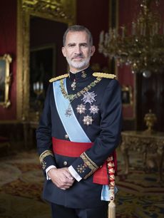 S.M. el Rey con indumentaria de gala en el Palacio Real