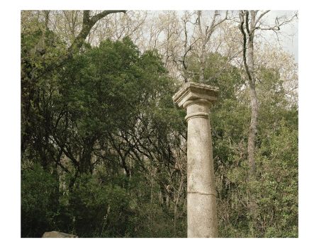 Imagen de The Hours of Sunlight. Bleda y Rosa