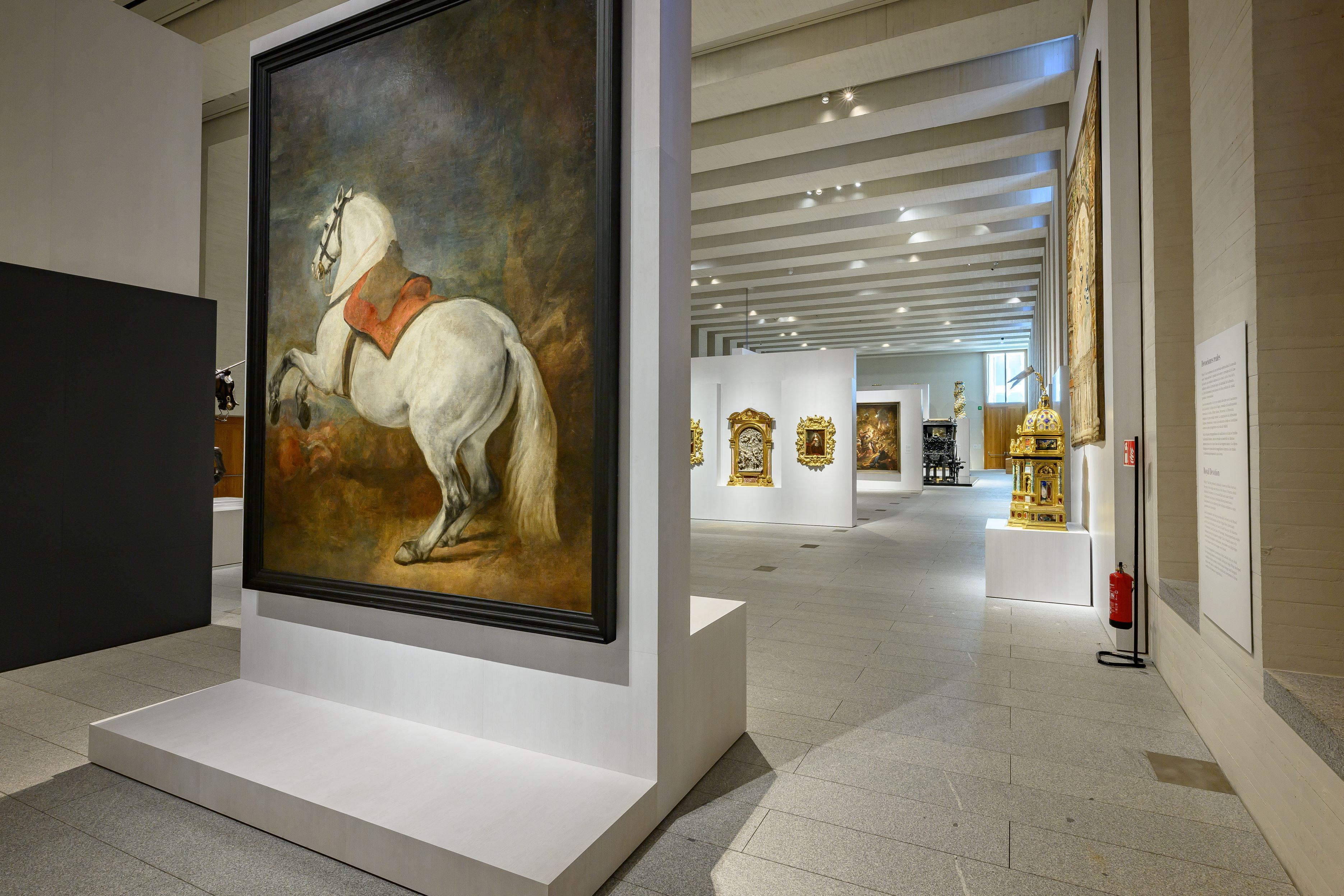 Horario visita colecciones reales madrid 60 foto - Farosypuertos.com
