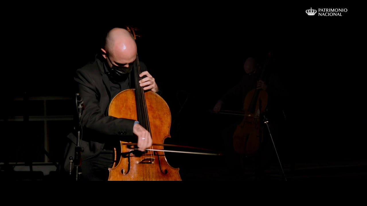 Stradivarius 1700. Un sueño real
